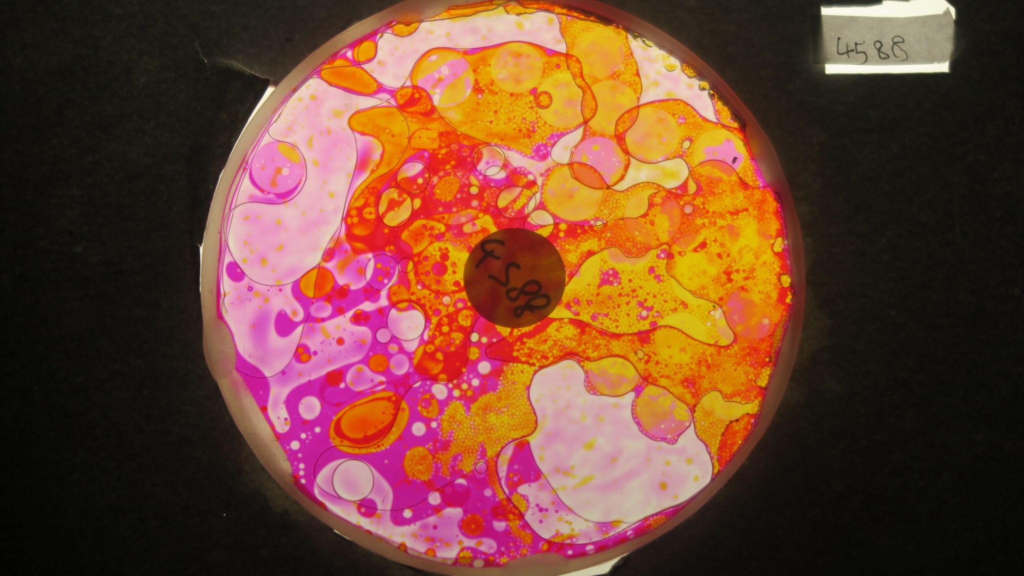 BV4588 bubble vision oil wheel